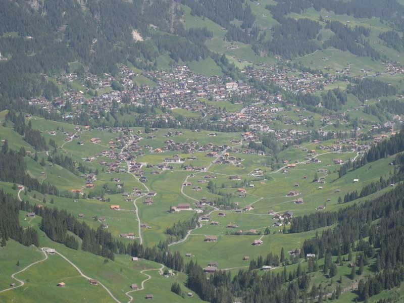 IMG_2125