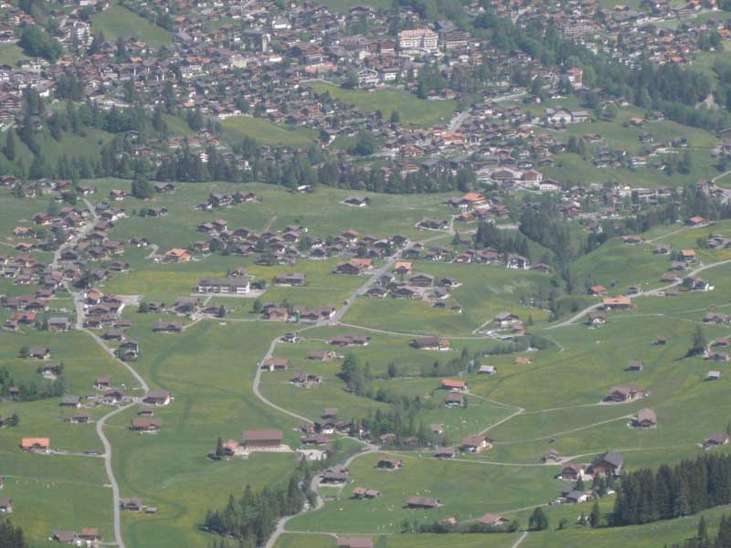 IMG_2126