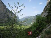 IMG_2011