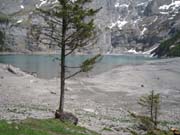 IMG_2059