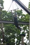 10_08_Summer_Camp 056